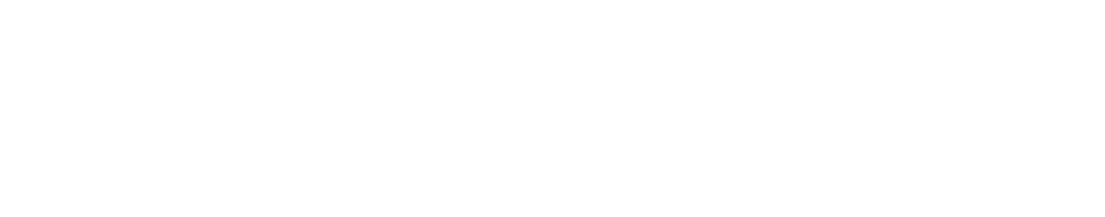 WhyMinds AI